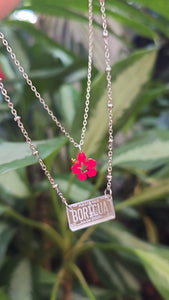 Tablilla Boricua plata
