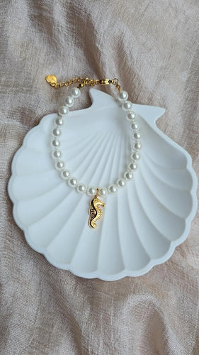 Caballito de mar