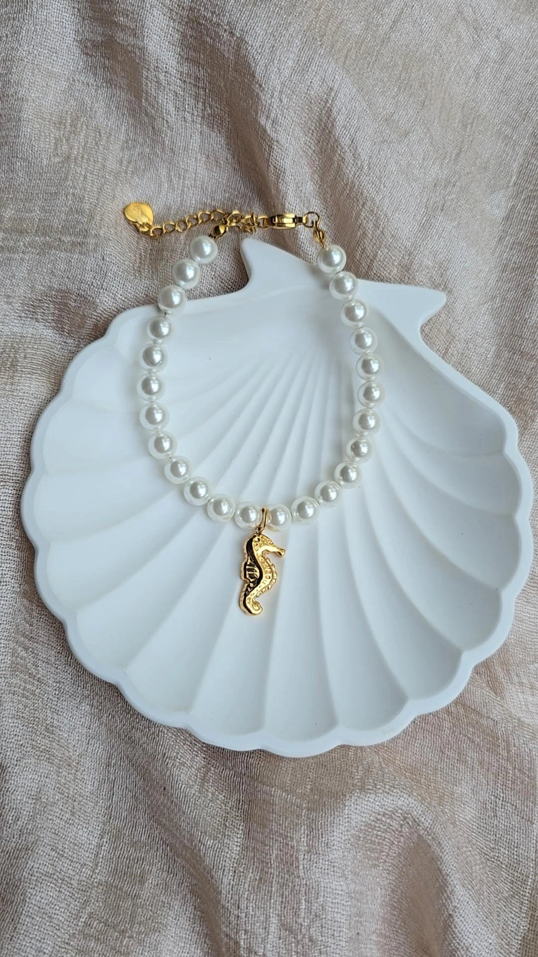Caballito de mar